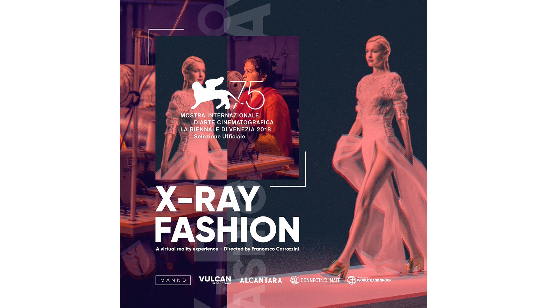 alcantara x ray fashion