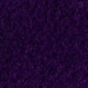 6601_violet